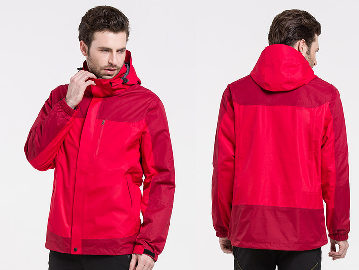 模特展示 模特展示